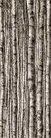 Настенный декор Birch 898 x 2398 mm