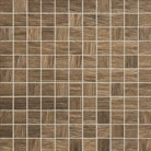 Настенная мозаика Amazonia bra? 300 x 300 mm