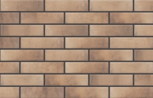 Cerrad Retro Brick 1948 245 65