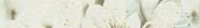 Настенный бордюр Aceria szara 2 448 x 71 mm