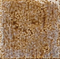 Настенная плитка Artigiano Miele 200 x 200 mm