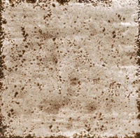 Настенная плитка Artigiano Cream 200 x 200 mm