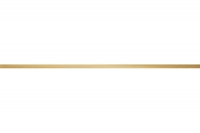 Настенный бордюр Ducado gold 59,8x2,3 см