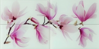 Настенное стеклянное панно Tango flower 448 x 898 mm