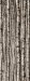 Настенный декор Birch 898 x 2398 mm