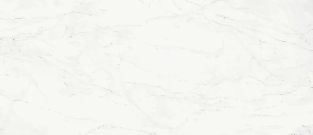 Плит. CHARME DELUXE B.MICHEL.120*278 LUX