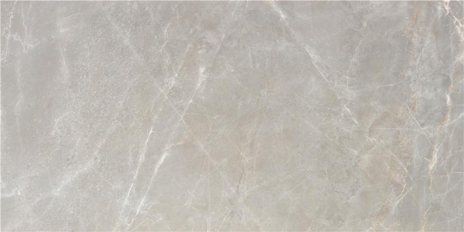 Vitacer Коллекция AREZZO Grey Pol 60*120 см