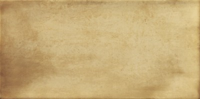 Настенная плитка Treviso Ocre 100 x 200 mm