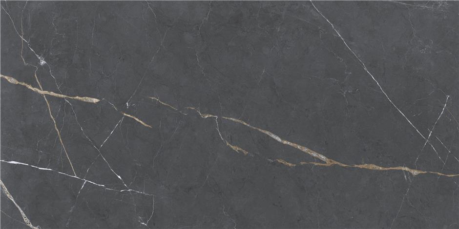 Vitacer Коллекция ESSENZA Anthracite Pol 60*120 см