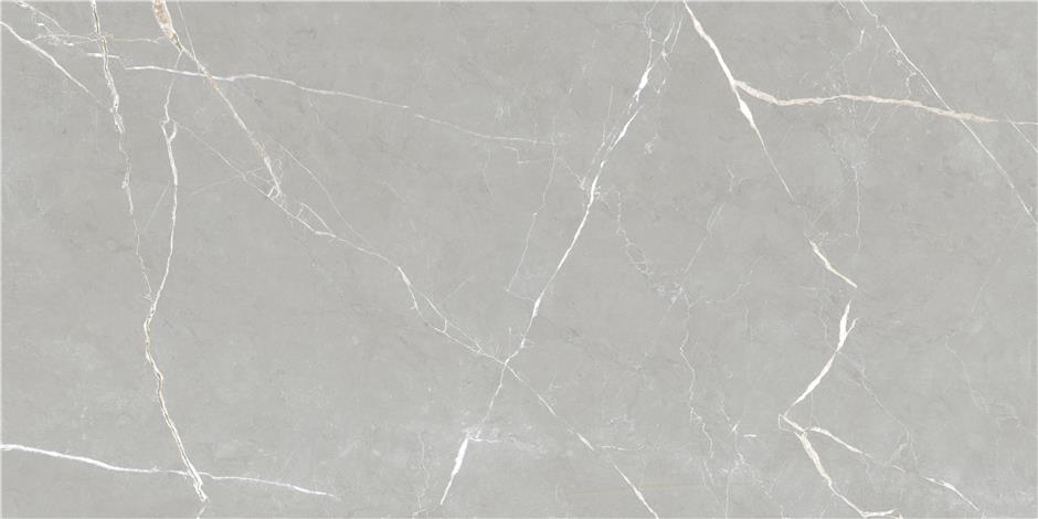 Vitacer Коллекция ESSENZA Grey Pol 60*120 см