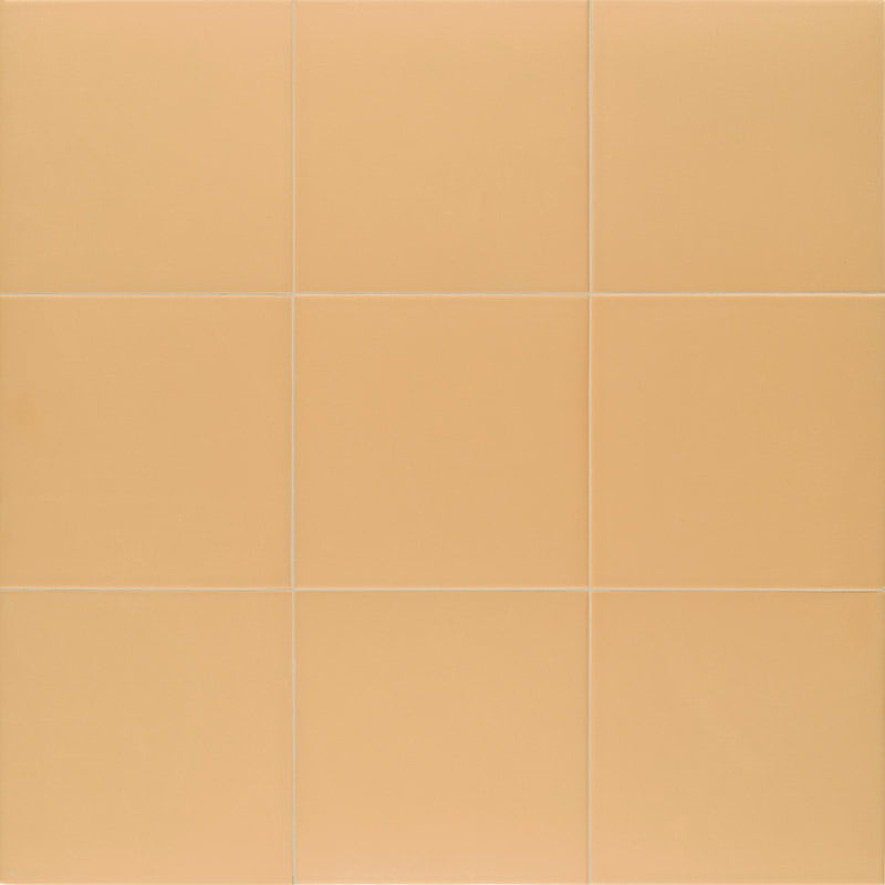 Универсальная плитка (керамогранит) Mainzu Technical Tangerine 20×20 см
