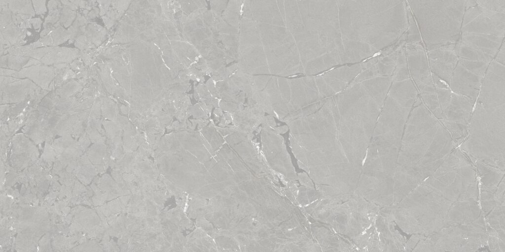 Универсальная плитка (керамогранит) Azuvi Neeko Grey SL RC 120×60 см